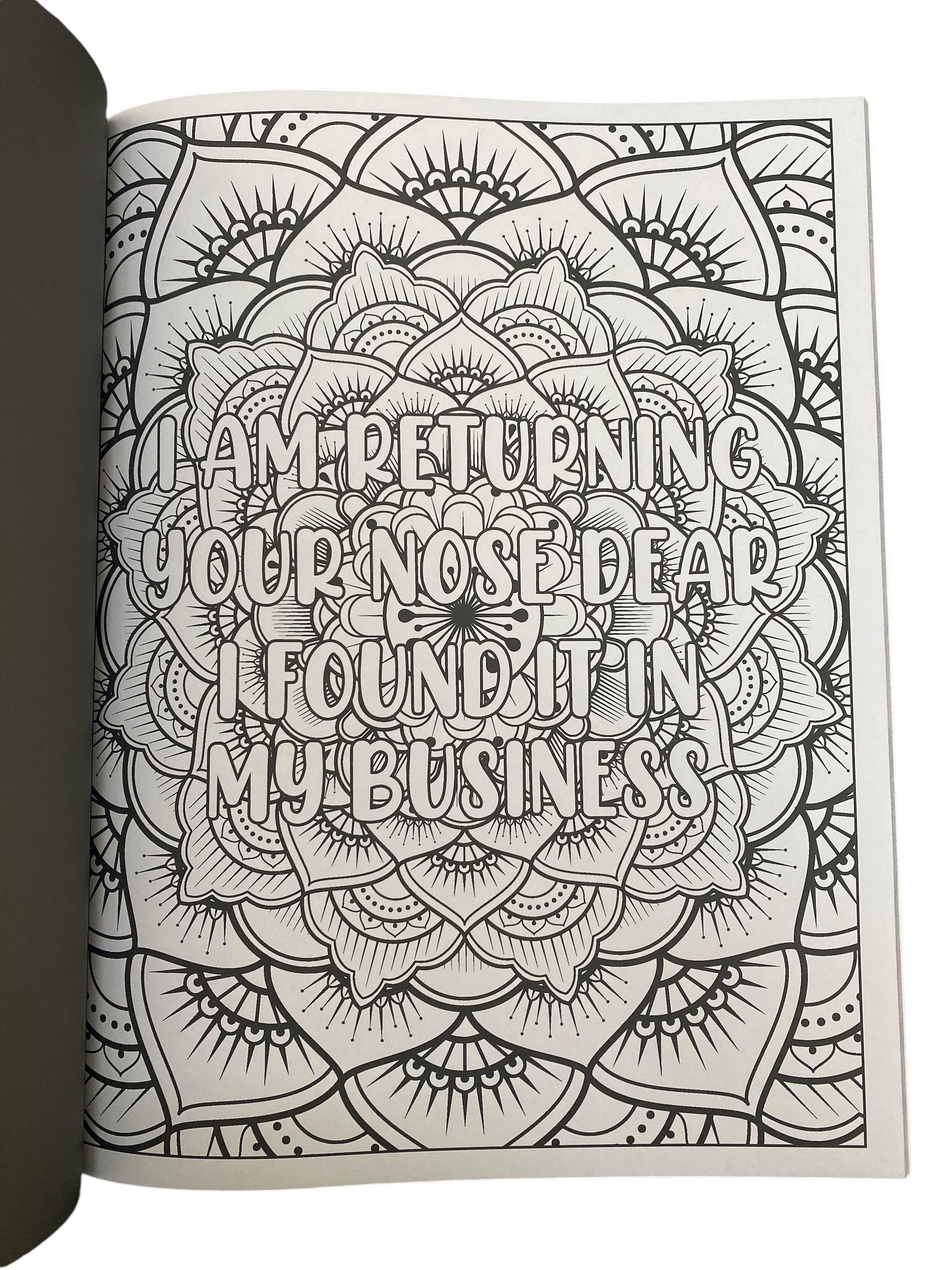 Sarcastic Adult Colouring Book