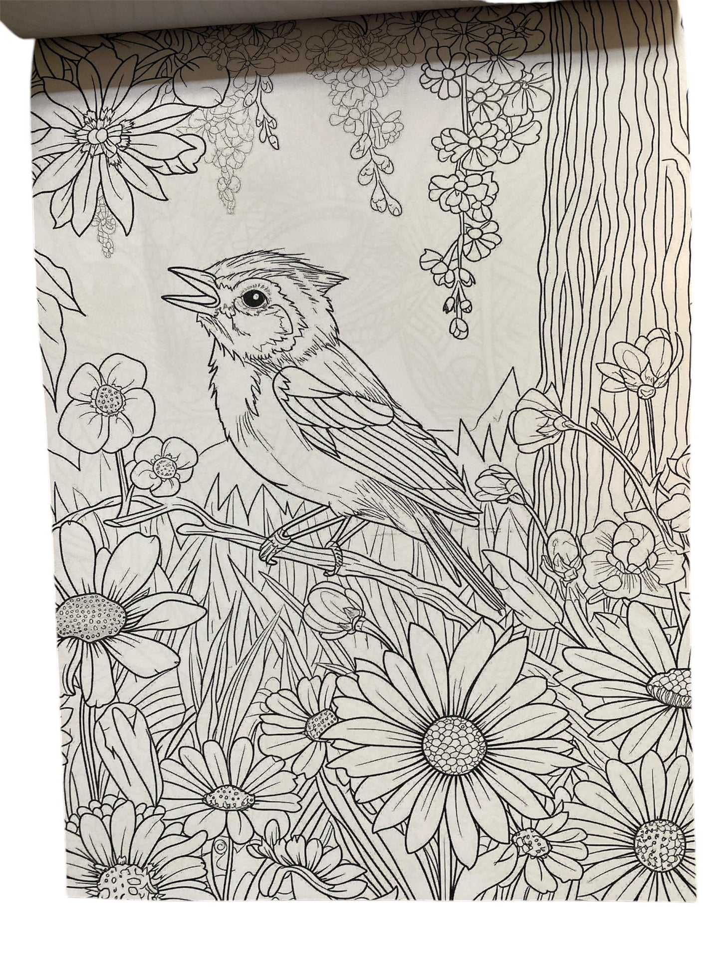 Stress Relief Colouring Notepad